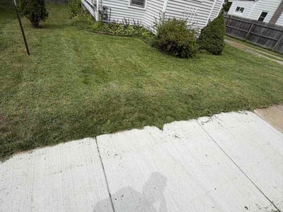 Lawn Care service in Holt, 48842