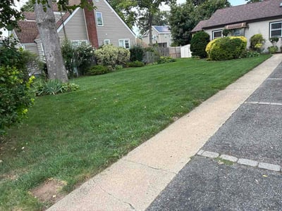 Lawn Care service in Farmingdale, 11735