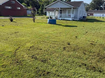 Lawn Care service in LaFayette, 30728
