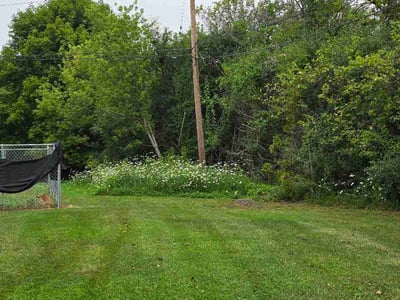 Lawn Care service in Trenton, 48183