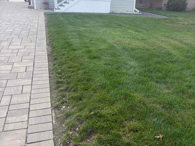 Lawn Care service in Wood Dale, 60191