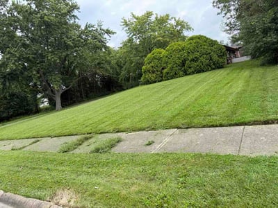 Lawn Care service in Park Forest, 60466