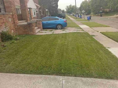 Lawn Care service in Garden City, 48135