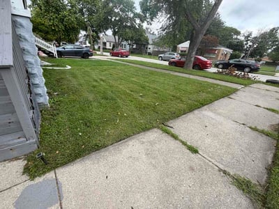 Lawn Care service in Mount Prospect, 60056