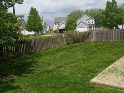 Lawn Care service in Mount Prospect, 60056