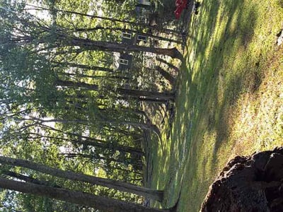 Lawn Care service in Suitland, 20746