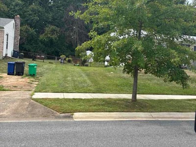 Lawn Care service in Suitland, 20746