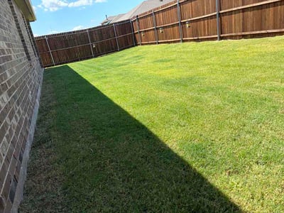 Lawn Care service in Royse City, 75189