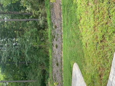 Lawn Care service in York, 29745