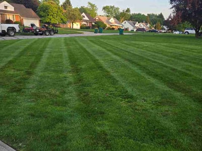 Lawn Care service in North Royalton, 44133