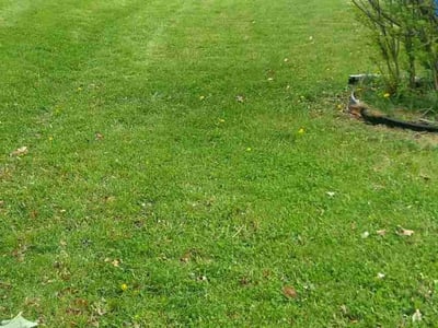 Lawn Care service in Bolingbrook, 60440