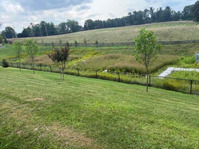 Lawn Care service in Pikesville, 21208
