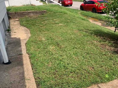Lawn Care service in Crestwood, 63126