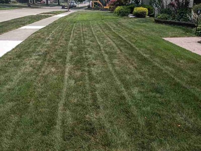 Lawn Care service in Dearborn Heights, 48127