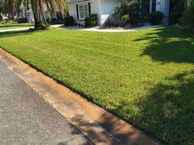 Lawn Care service in Ormond Beach, 32174