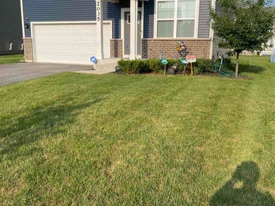 Lawn Care service in Oak Forest, 60452