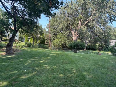 Lawn Care service in Roeland Park, 65401