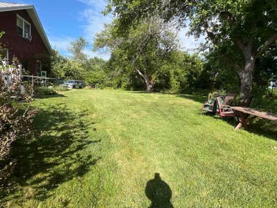 Lawn Care service in Albany, 12207