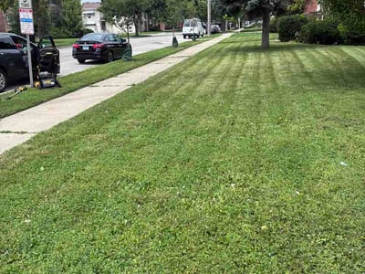 Lawn Care service in Westchester, 60154