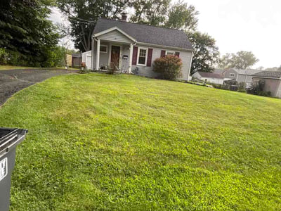 Lawn Care service in Albany, 12207