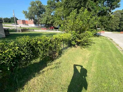 Lawn Care service in Raytown, 64133