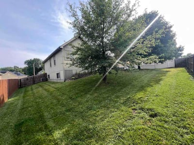 Lawn Care service in Lawson, 64062