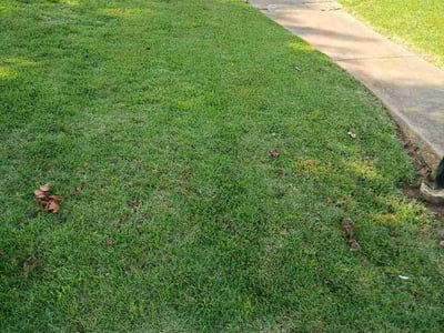 Lawn Care service in Festus, 63028