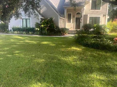 Lawn Care service in Mount Pleasant, 29464