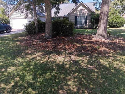 Lawn Care service in Mount Pleasant, 29464