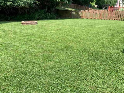 Lawn Care service in High Ridge, 63049