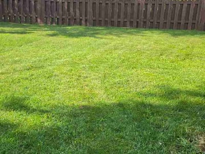 Lawn Care service in Pennsauken, 08110