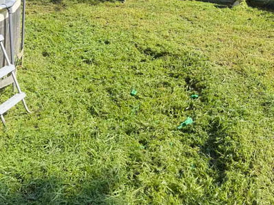 Lawn Care service in Rossville, 30741