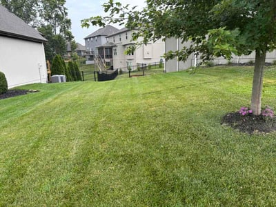 Lawn Care service in Platte City, 64079