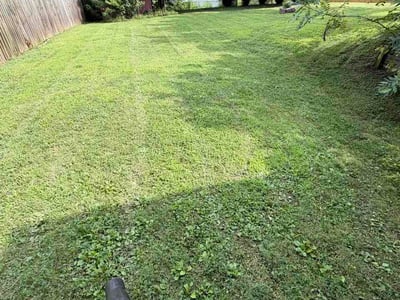 Lawn Care service in Gladstone, 64118