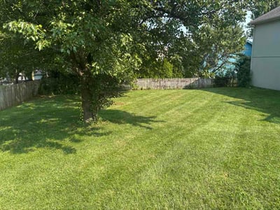 Lawn Care service in Liberty, 64068