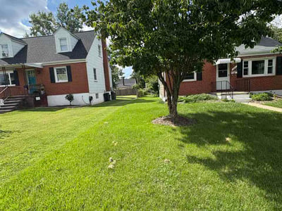 Lawn Care service in Elkridge, 21075