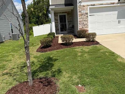 Lawn Care service in Issaquah, 98027