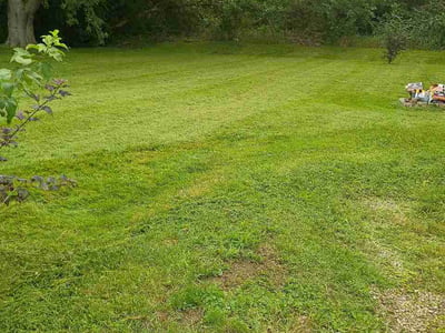Lawn Care service in Lombard, 60148