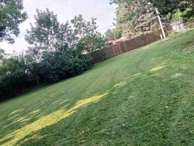 Lawn Care service in Overland, 63114