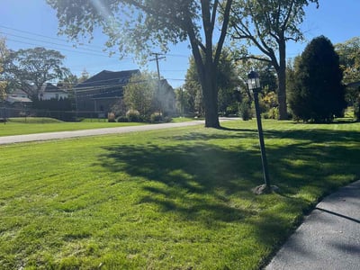 Lawn Care service in Crete, 60417