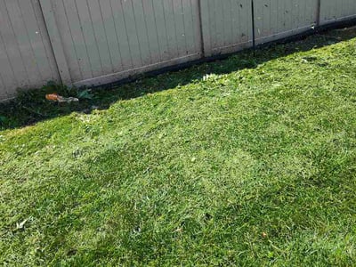 Lawn Care service in Crete, 60417