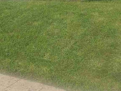 Lawn Care service in Gloucester City, 08030