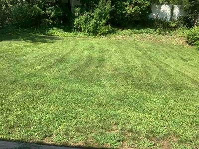 Lawn Care service in Blackwood, 08012