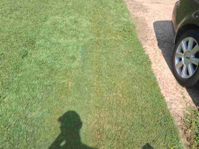 Lawn Care service in Affton, 63123