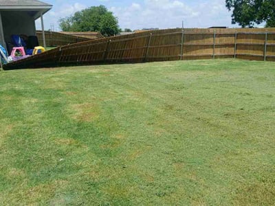 Lawn Care service in Natick, 01760
