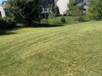 Lawn Care service in Prior Lake, 55372