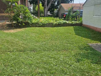 Lawn Care service in Zimmerman, 55398
