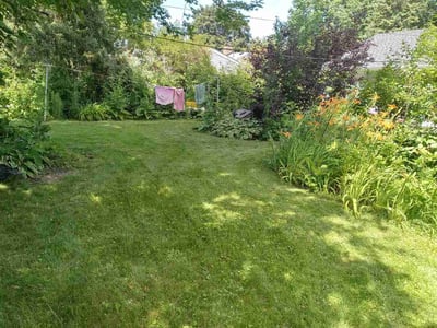 Lawn Care service in Zimmerman, 55398