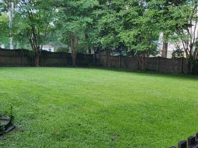 Lawn Care service in Goose Creek, 29445