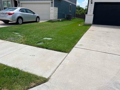 Lawn Care service in Bellingham, 02019